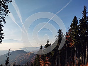 Mist inversion in the woods and mountains during autumn and winter.