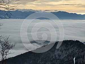 Mist inversion in the woods and mountains during autumn and winter.