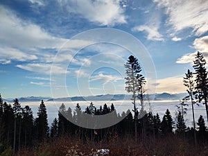 Mist inversion in the woods and mountains during autumn and winter.