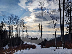 Mist inversion in the woods and mountains during autumn and winter.