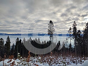 Mist inversion in the woods and mountains during autumn and winter.