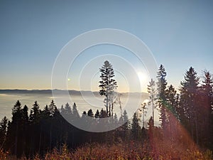 Mist inversion in the woods and mountains during autumn and winter.