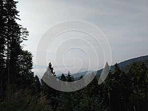 Mist inversion in the woods and mountains during autumn and winter.