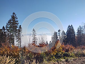 Mist inversion in the woods and mountains during autumn and winter.