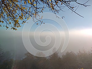 Mist inversion in the woods and mountains during autumn and winter.