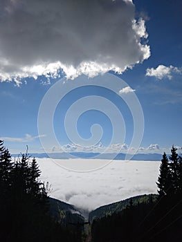 Mist inversion in the woods and mountains during autumn and winter.