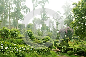 Mist in the kodaikanal hill chettiar park.