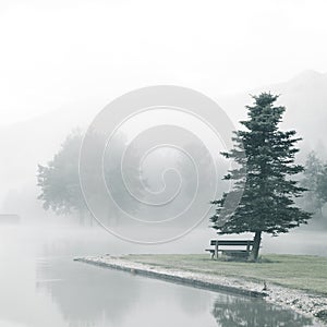 Mist on a lake with alone tree and bench and calm lake water