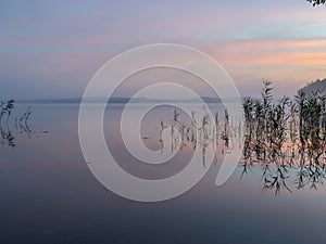 Mist landscape, blurred shapes, reed reflection in water, sunrise on lake