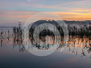 Mist landscape, blurred shapes, reed reflection in water, sunrise on lake