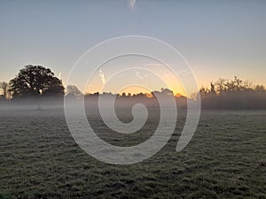 Mist lingering in the field at sunrise