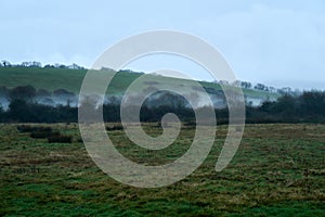 Mist in the morning on Brading marshes