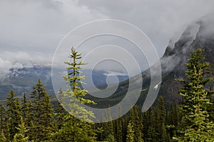 Mist in the mountains after rain - the beautiful Rocky Mountains in Alberta. Tourism - hiking, rest and recovery.