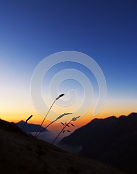 Mist and mountains at sunset