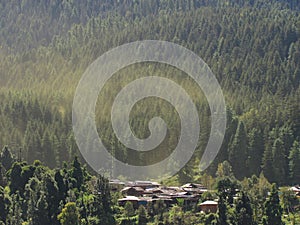 Mist over Fairy Forest