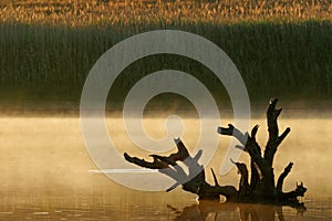 Mist over water