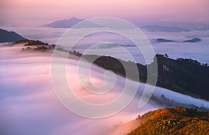 The mist at Phu Chi Fa in the morning chiang rai thailand