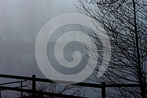 Mist on a pond in winter