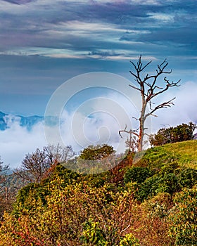 Mist rises from the valley below engulfing the fall colors on the Blue Ridge Parkway1