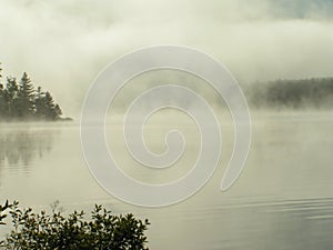 Mist rising from lake
