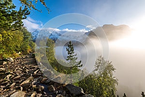 Hmla stúpajúca z dolín v lese na slovensku Tatry