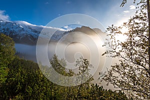 Hmla stúpajúca z dolín v lese na slovensku Tatry