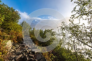 Hmla stúpajúca z dolín v lese na slovensku Tatry