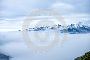 Mist rising from valleys in forest in slovakia Tatra mountains