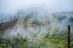 Mist rising from valleys in forest in slovakia Tatra mountains