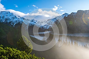 Hmla stúpajúca z dolín v lese na slovensku Tatry