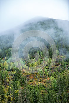 Mist rising from valleys in forest in slovakia Tatra mountains