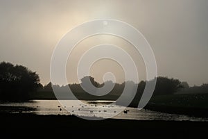 Mist and sun over lake.