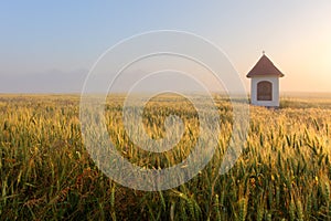 Mist on wheat field with chapel in Slovakia Tatras