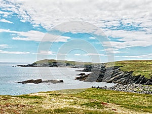 Mistaken Point Ecological Reserve photo