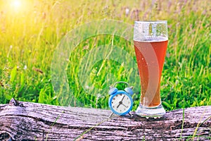 Misted glass of cold beer and an alarm clock at the background of green grass at sunset. Time to take a break and drink beer.