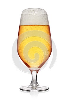 Misted glass of light beer isolated on white background