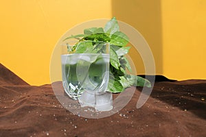 Misted glass of water on a hot Sunny day. juicy Basil, ice and a yellow wall