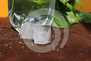 Misted glass of water on a hot Sunny day. juicy Basil, ice and a yellow wall