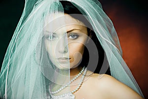 Misterious brunette bride wearing a veil