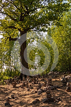 Mistical stone handmade figures near old oak tree in forest shot on day