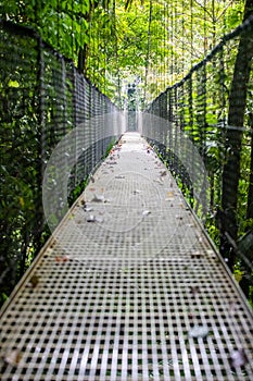 Mistico Arenal Hanging Bridges Park