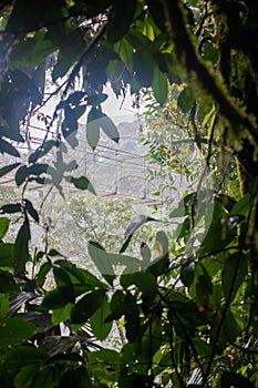 Mistico Arenal Hanging Bridges Park