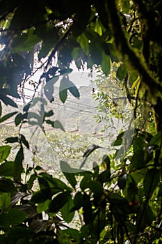 Mistico Arenal Hanging Bridges Park