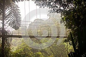 Mistico Arenal Hanging Bridges Park