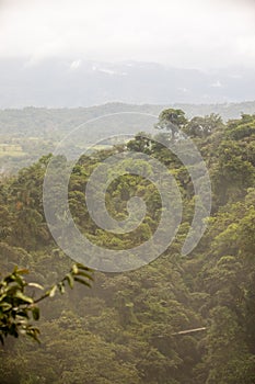 Mistico Arenal Hanging Bridges Park