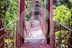 Mistico Arenal Hanging Bridges Park