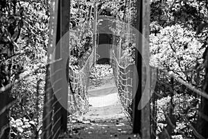 Mistico Arenal Hanging Bridges Park