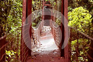 Mistico Arenal Hanging Bridges Park photo