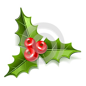Mistletoe