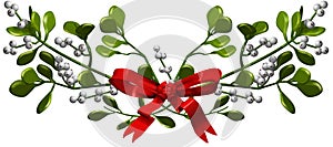 Mistletoe